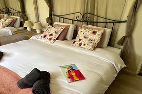 Ster Der Zee On Sea Shore