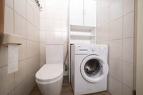 Ster Der Zee On Sea Shore