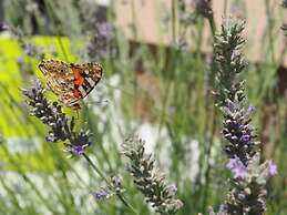 Kuca za Odmor u Kastelima s Pogledom na More