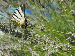 Kuca za Odmor u Kastelima s Pogledom na More