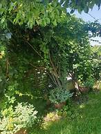 Dream Cottage Nikiti Greece