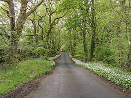 Danes Court