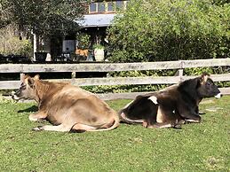 Turicum Chalets AT Monkey Rock Winery