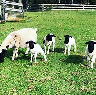 Turicum Chalets AT Monkey Rock Winery