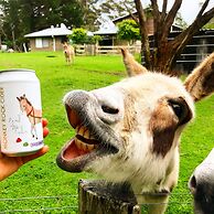 Turicum Chalets AT Monkey Rock Winery