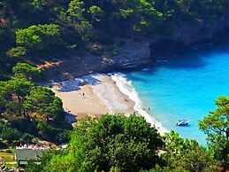 Nomade Caravan Camping