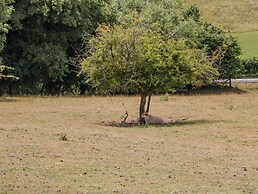 Phocle Ridge