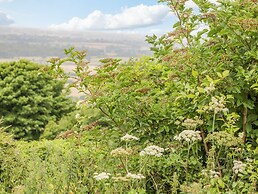 Dorset View