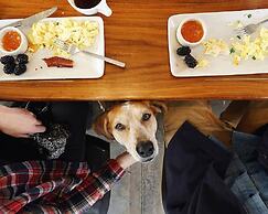 Abode Nashville - Germantown