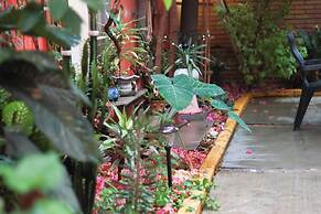 Casa Guanab