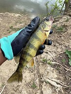 The Sanctuary On Huron River