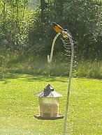 The Sanctuary On Huron River