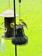 The Sanctuary On Huron River