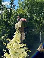 The Sanctuary On Huron River