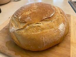 The Sanctuary On Huron River