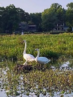 The Sanctuary On Huron River