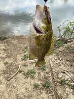 The Sanctuary On Huron River