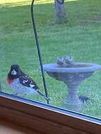 The Sanctuary On Huron River