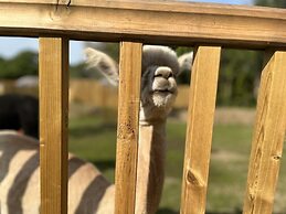 Lion King Safari Tent