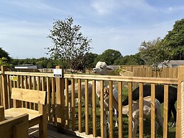 Lion King Safari Tent