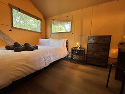 Lion King Safari Tent