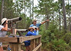 The Cabins at Gulf State Park