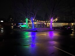 Inn of the Dove - Luxury Romantic Suites with Jacuzzi & Fireplace at H