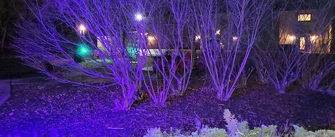 Inn of the Dove - Luxury Romantic Suites with Jacuzzi & Fireplace at H