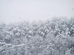 Yangyang In Memory Pension