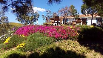 Casas de Campo do Castro da Cola