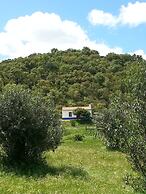Casas de Campo do Castro da Cola