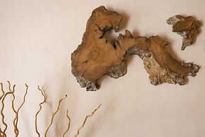 Casas de Campo do Castro da Cola