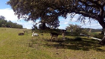 Casas de Campo do Castro da Cola