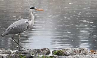 Remarkable 1-bed Cottage in Arcos de Valdevez