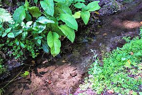 Remarkable 1-bed Cottage in Arcos de Valdevez