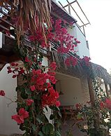 CONDOMÍNIO SHALOM BEACH