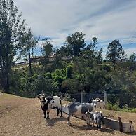 Hotel Alpes da Fazenda