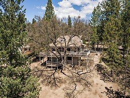 Three Wild Turkeys - Amazing Outdoor Spaces!  2 Decks! by Yosemite Reg
