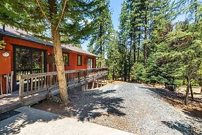 The Hideout - Pet Friendly - The Perfect Spot for a Relaxing Yosemite 