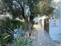 Olvion Luxury Living