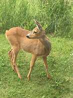 Cozy House On Norderon For Up To 8 People