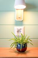 Oporto Trendy Formosa