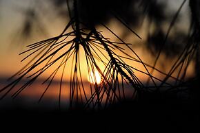 Beautiful Cottage sea View, Near the Beach, Greece