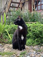 Sapa Rosie House - Mountain Retreat