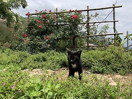 Sapa Rosie House - Mountain Retreat