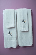 vision with dreams villa