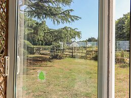 The Orchard