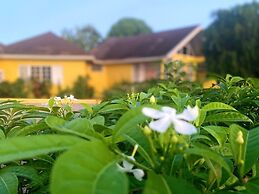 Yancey Largo Villa Perfect Jamaica Ironshore Getaway w Private Pool an