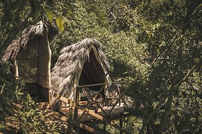 Tigrillo Rio Claroby LosColoresEcoparque