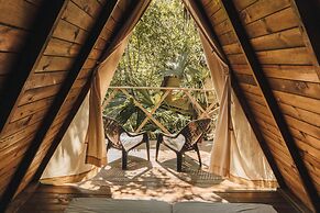 Tigrillo Rio Claroby LosColoresEcoparque